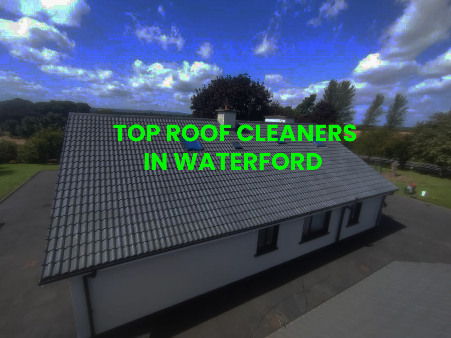 roof cleaning article